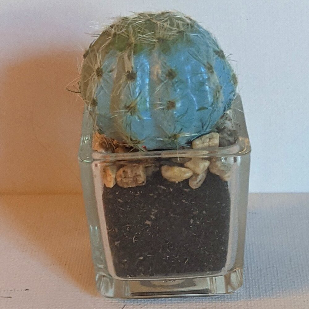 NWT Ashland Faux Mini Fuzzy Cactus Pot Floral Succulent Summer Desert Michael's